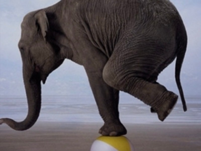 Prayer for Balance: Body, Mind, and&nbsp;Spirit