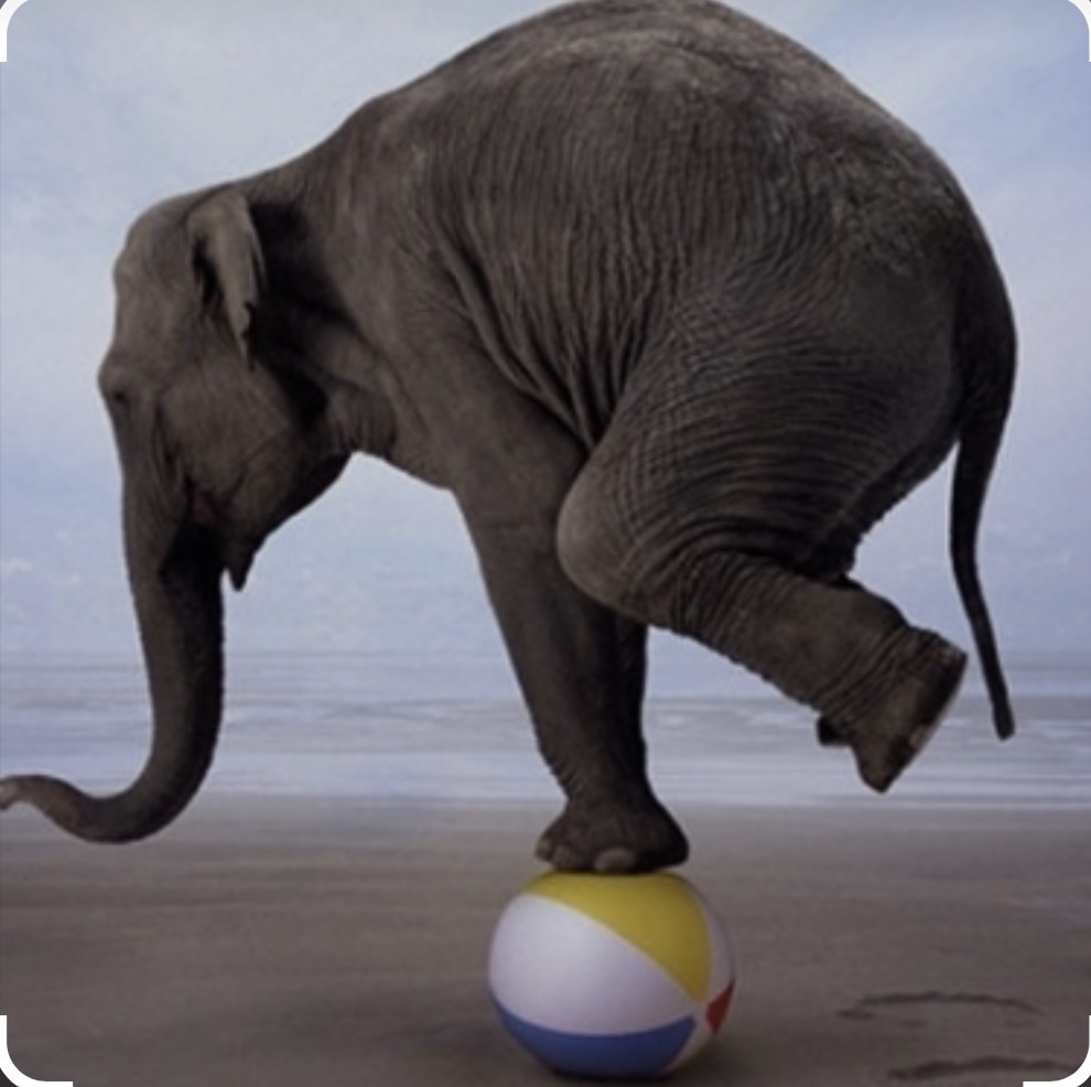Prayer for Balance: Body, Mind, and&nbsp;Spirit